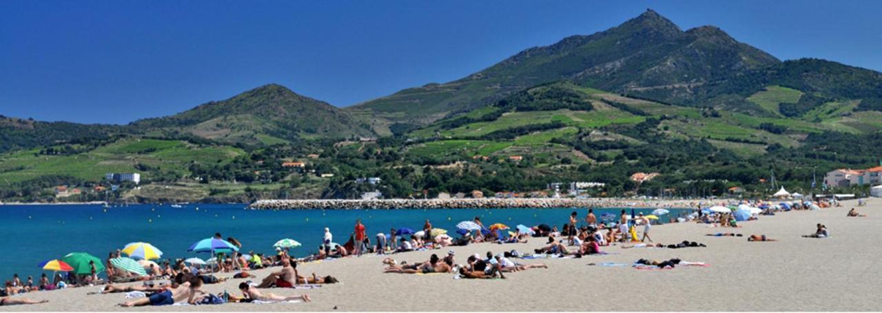 Maison Charmante A Argeles Sur Mer Pres De La Plage Avec Piscine Partagee Exteriör bild